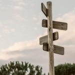 El sentido de la vida. Parte II